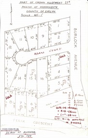 Map, Subdivision Plan - Adam Court area, North Ringwood, Vic. - circa 1960s