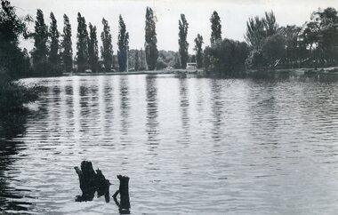 Photograph - Digital image, Ringwood Lake 1987, 1987