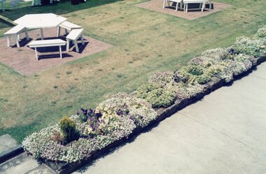 Photograph, Ringwood Bowls Club - Old Bowls Club, Miles Avenue, various scenes