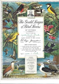 Certificate, Gould League Bird Lovers of Victoria certificate (c 1968) for Lynette Nink (East Ringwood Primary School)