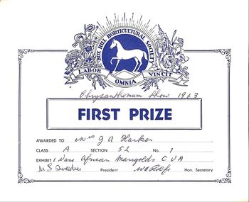 Certificate, Two First Prize Certificates awarded to Mrs. Ruby Harker at Box Hill Horticultural Society Chrysanthemum Show in 1963