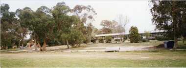 Photograph, photo of Southwood Primary School grounds