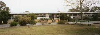 Photograph, photo of Southwood Primary School grounds
