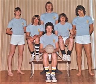 Photograph - Group, Ringwood Technical School 1975 Boys Volleyball