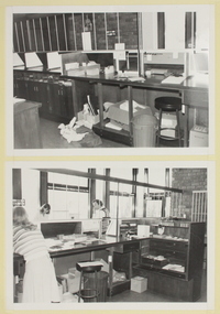 Photograph, Interior view of Ringwood North State Bank , north-east corner of Dickson's Crescent and Warrandyte Road