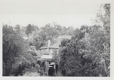Photograph, Looking up towards Loughnan's Hill from the rear of 97 Ringwood Street c1970