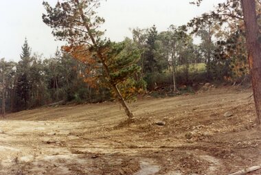 Photograph, Site of Loughnan's Lake, North Ringwood in April 1978