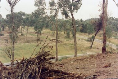 Photograph, View across junction of Wera (lower) and Manuelo (upper) Drives, North Ringwood showing how undergrowth had been cleared, February 1979
