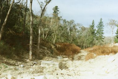 Photograph, View up the gully from Glenvale Road, North Ringwood towards the spot of the wall of Loughnan's Lake was
