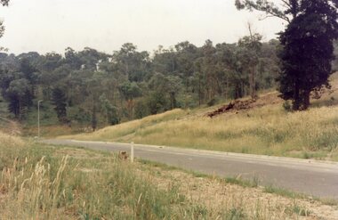 Photograph, Looking south up Werac Drive, North Ringwood past Manuelo Drive in February 1979