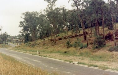 Photograph, Looking north down Werac Drive, North Ringwood with lake headwater's site behind light standard on left in February 1979