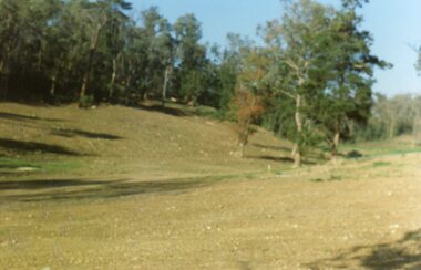 Photograph, Site of the main body of Loughnan's Lake, North Ringwood on 10 June 1978. the rope tree was on the slope, far left