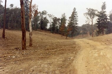 Photograph, Kubis Estate, North Ringwood in April 1978. Looking upstream from below the retaining wall of Loughnan's Lake that was where the truck tracks disappear. The wall was extended to the left across what was then a small gorge