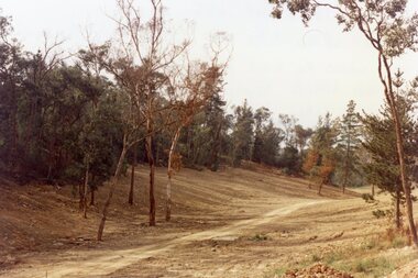 Photograph, Kubis Estate, North Ringwood in April 1978. View of the lake site looking east. The wall was where the track bends. The rope tree was on the hillside beyond the track bend