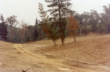 Photograph, Kubis Estate, North Ringwood in April 1978. Looking west over site of Loughnan's Lake. The rope tree was on the slope to the right beyond the ridge with the lone pine