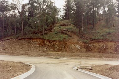 Photograph, Looking from Werac Drive, North Ringwood, on 14th April 1978, across the site of the headwaters of Loughnan's Lake. Main body of water lay to the left (west)