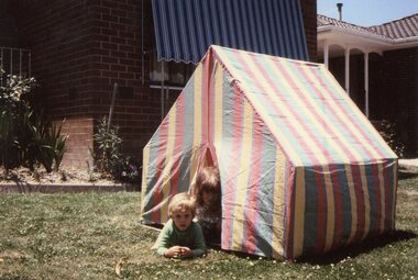 Photograph, Children on front lawn of the Mitchell house at 168 Oban Road, North Ringwood circa 1983