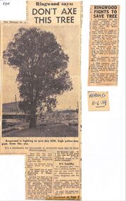 Newspaper, Fight to save tree near Ringwood Timber on Maroondah Highway, late 1950s