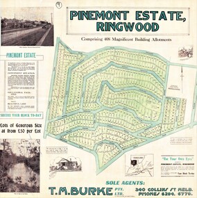 Poster, Land Sale Advertisement - Pinemont Estate, Ringwood, Victoria - circa 1924