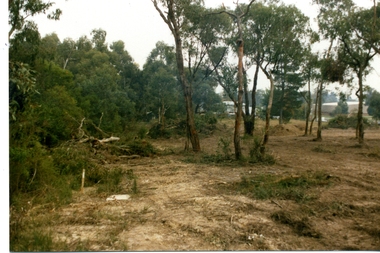 Photograph, Waters Grove, Heathmont - Collection of Photos showing bush damage during construction (Formerly Park St).  c1973-5