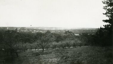 Photograph, Looking from Royal Avenue, Heathmont towards Heathmont Road. This was the westerly end Herman Pump orchard