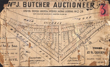 Poster - Land Sale, Wm J. Butcher, Auctioneer - Albert Park Estate, Ringwood - c.1890