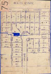 Map, Subdivision Plan of 37 residential allotments on Panorama Avenue, Felix Crescent, Evelyn Road and Avalon Grove, Ringwood, Victoria - (Undated - circa 1960)