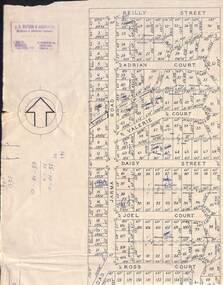 Map, Subdivision Plan of 141 allotments off Jarma Road, Heathmont, Victoria - Circa 1957