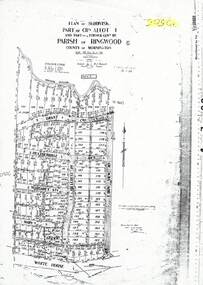 Map - Plan of Subdivision, Part of Crown Allotment 4, Parish of Ringwood, County of Mornington - 1925, amended 1980