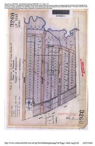 Map - Plan of Subdivision, Part of Crown Portion 12, Parish of Ringwood, County of Mornington - circa 1880s