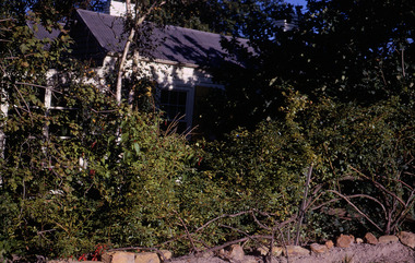 Photograph, Mackinlay's house, "Chipping", 16 Wonga Road, North Ringwood, circa 1960s