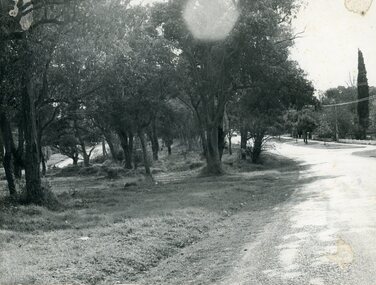 Photograph, Old Lilydale Road, Ringwood East circa 1970