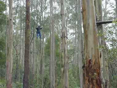 Photograph - Parkwood Secondary College, Ringwood North, Victoria, 10 Digitised Images from Bogong School Camp - 2001 - High Ropes