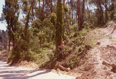 Photograph, Hillside opposite Debbie Place, North Ringwood in 1977