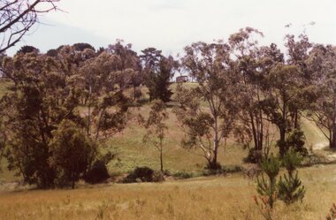 Photograph, The country North of Kubis Drive, North Ringwood in 1977