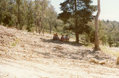 Photograph, The hillside immediately above the site of Loughnan's Lake, North Ringwood in 1977