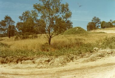 Photograph, The hillside that was stripped of its soil to provide filling for the gullies under Kubis Drive and Debbie Place, North Ringwood in December 1977