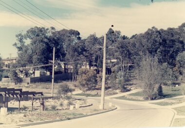 Photograph, The bend at 31 Burlock Avenue corner, North Ringwood in August 1976