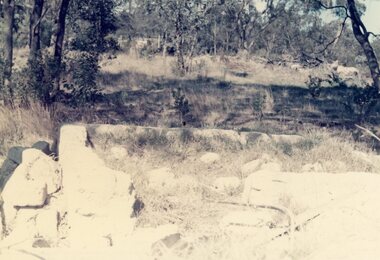 Photograph, Remains of the mud brick shed on the land owned by Robert Clarke, North Ringwood in Aug 1976