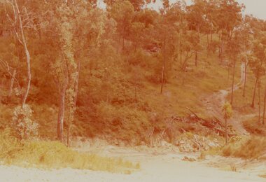 Photograph, View down Pamela Place, North Ringwood. Looking across Kubis Drive in 1976