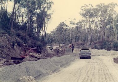 Photograph, View up the north arm of the creek above the site of Loughnan's Lake, North Ringwood of 1910-1970