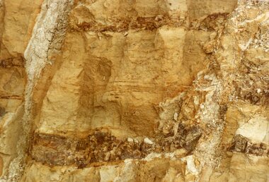 Photograph, Close up of the double fault in the rocks of the northern section of "Bel Air" Estate, North Ringwood in April 1978