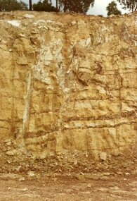 Photograph, Obvious double fault in horizontally bedded siltstone of the northern section of "Bel Air" Estate, North Ringwood in April 1978