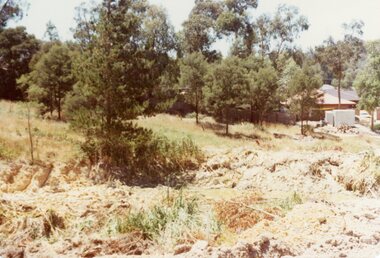 Photograph, The waterhole under Kubis Drive, North Ringwood just north of the bend in Jan 1978