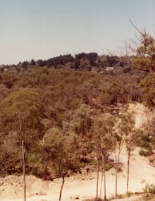 Photograph, View SSW over Kubis Drive and Pamela Court, North Ringwood in Feb 1978