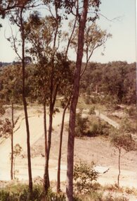 Photograph, View south over Iluka Court, North Ringwood with Hubbard Reserve in the background in Feb 1978