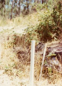 Photograph, The boundary of what used to be Shephard's land in the "Bel Air" Estate, North Ringwood in Jan 1978