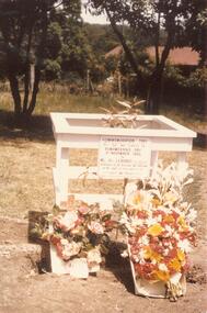 Photograph, North Ringwood State School- Commemoration Tree planting, 1955