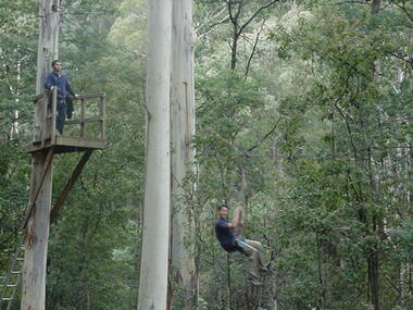 Photograph - Parkwood Secondary College, Ringwood North, Victoria, Selection of 20 Digtised Images from Bogong School Camp - 2002 - High Ropes