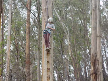 Photograph - Parkwood Secondary College, Ringwood North, Victoria, Selection of 19 Digtised Images from Bogong School Camp - 2003 High Ropes